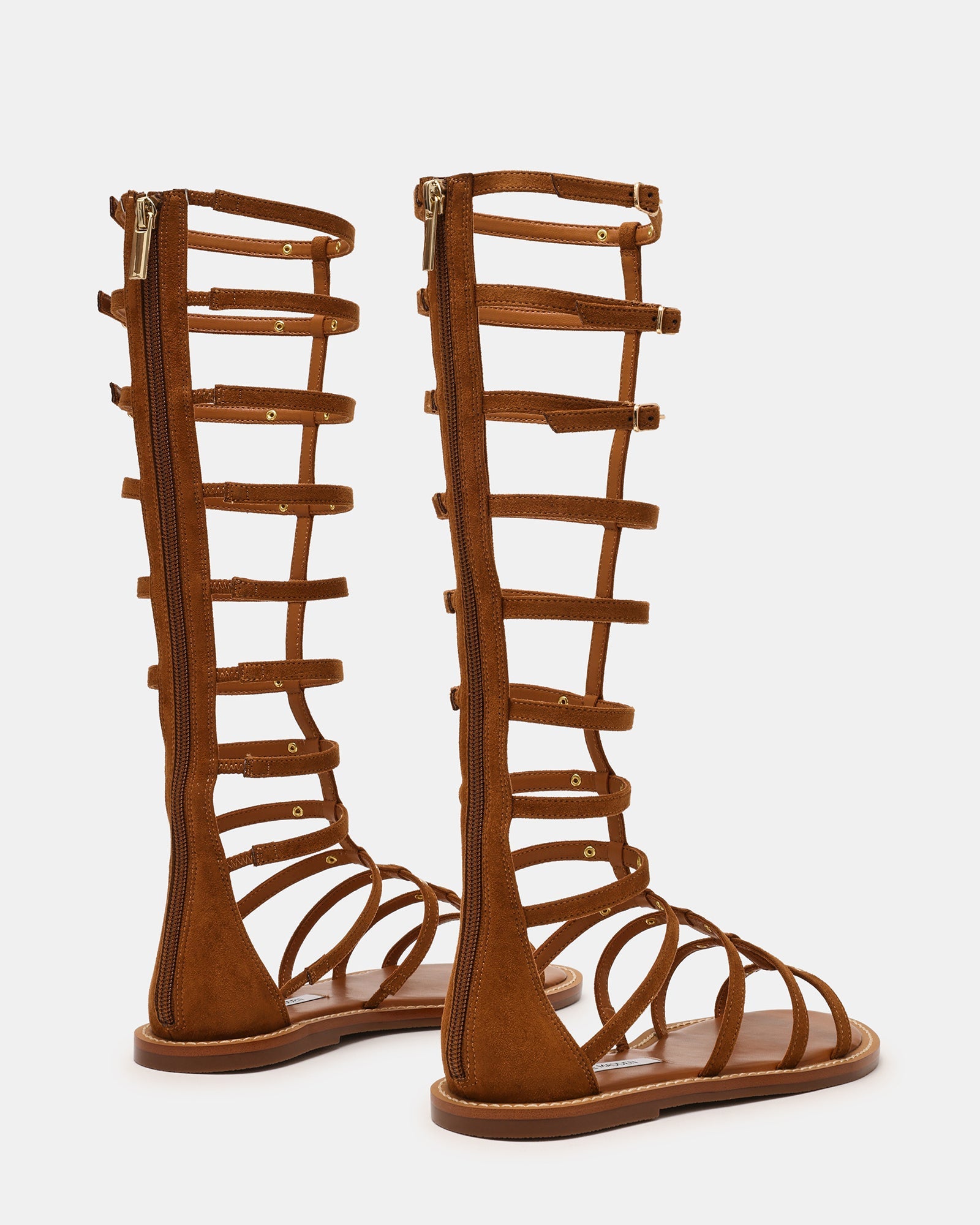 GLADIUS CHESTNUT