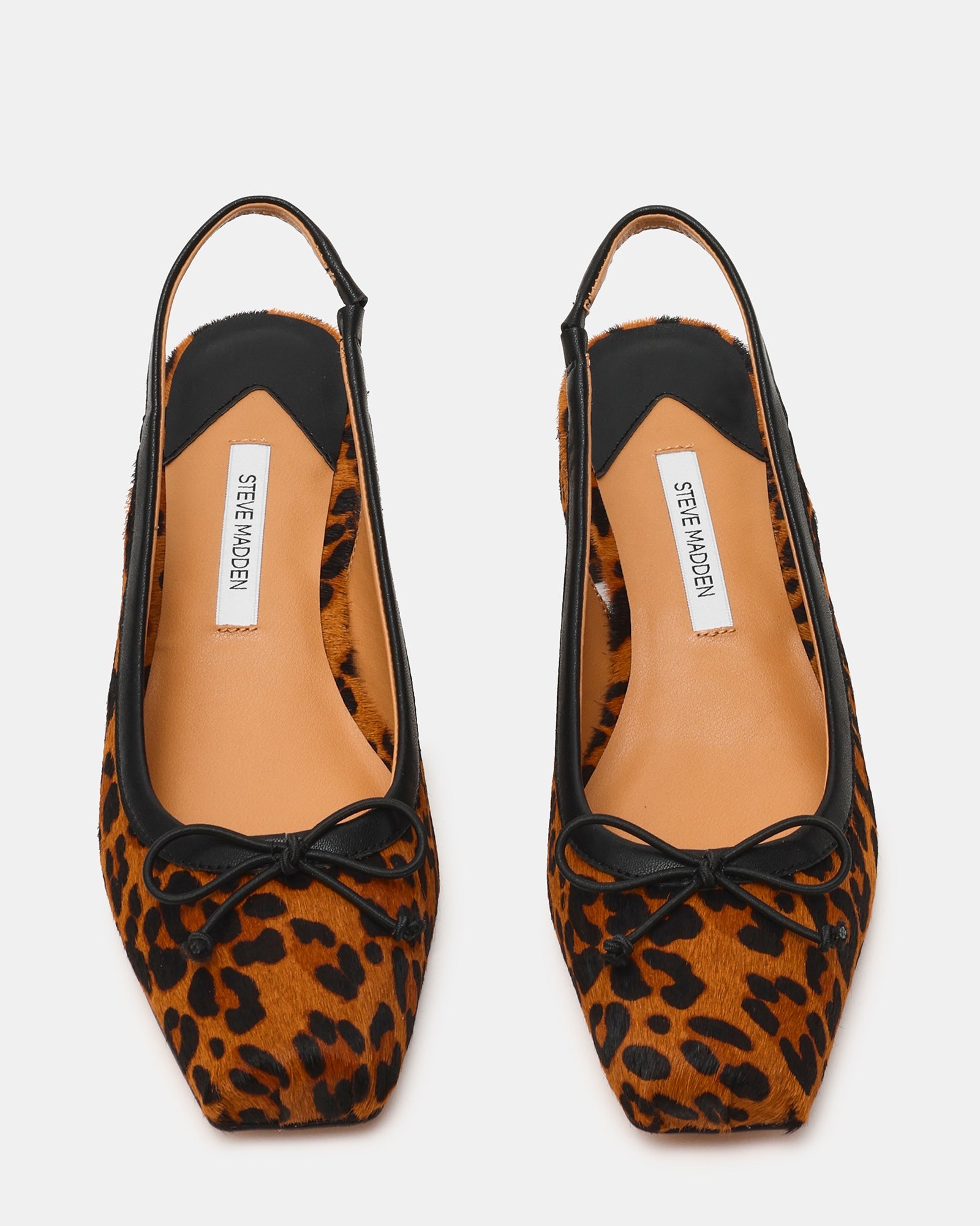 LOVED LEOPARD